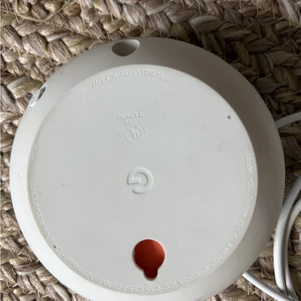 Google Mini Portable Speaker